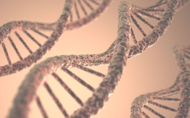 DNA for Beginners