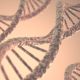 Go to DNA for Beginners