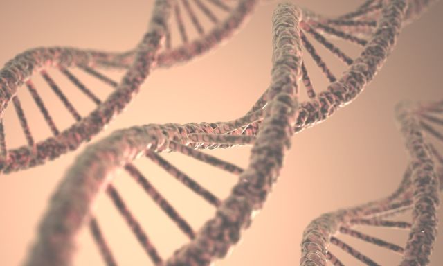 DNA for Beginners